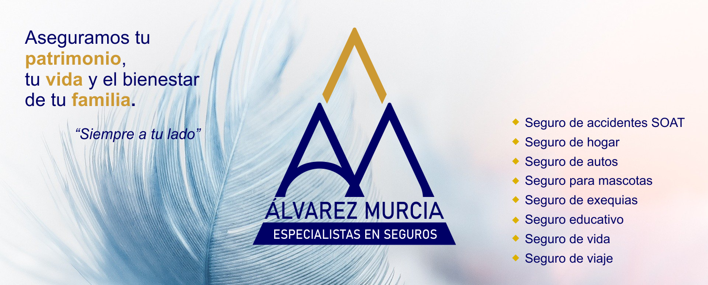 A&M Seguros