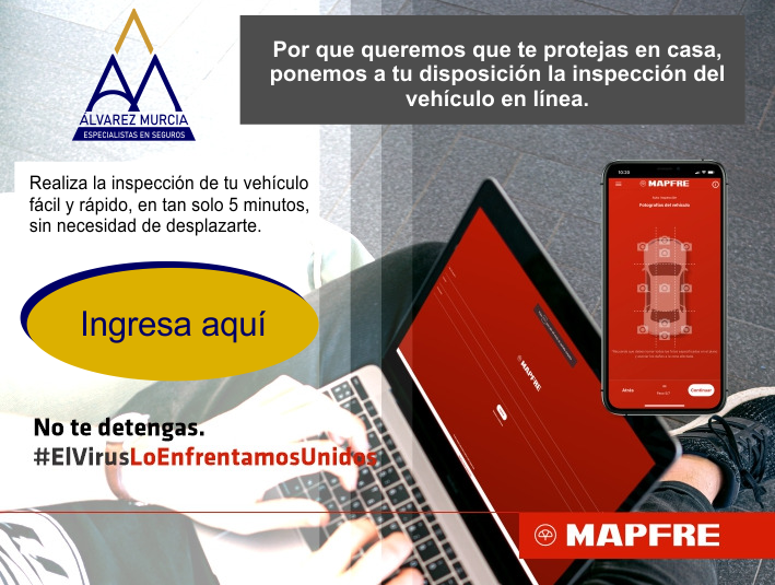 inspección de vehiculos